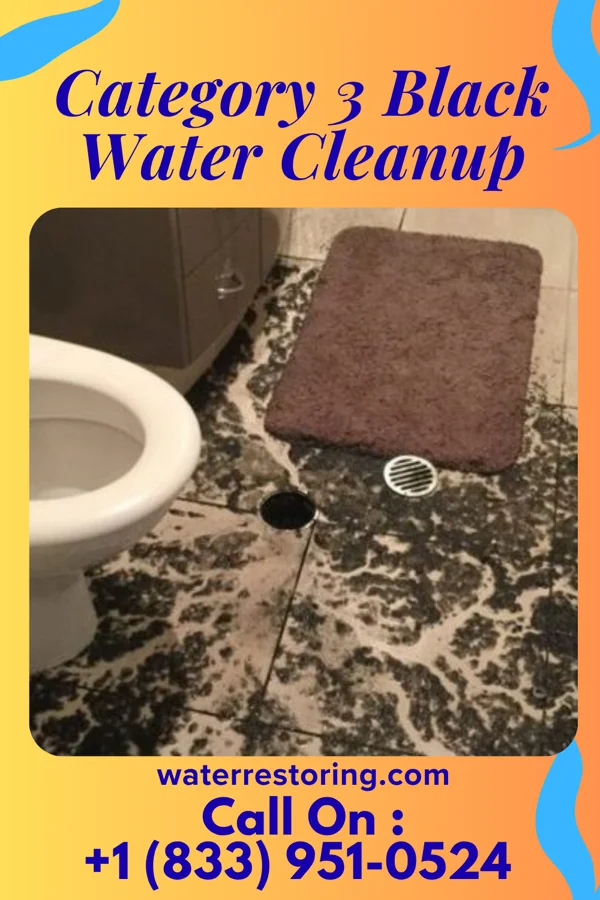 Category 3 Black Water Cleanup in Edge Hill, GA