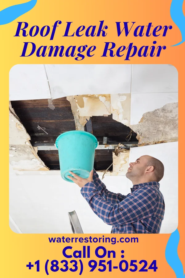 Roof Leak Water Damage Repair in Edge Hill, GA